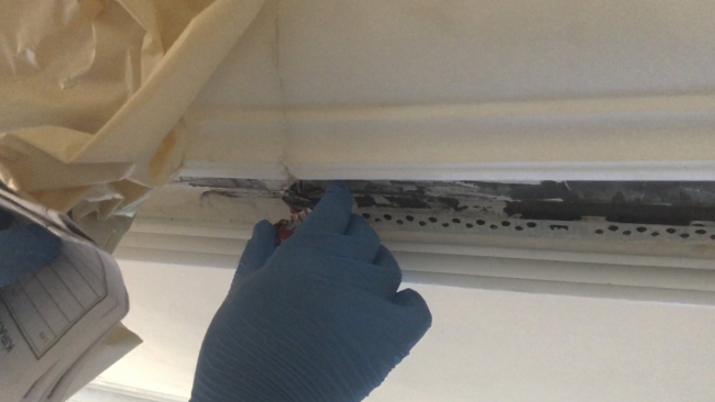 İstanbul’da 500 bin TL değerinde 'kokain' ele geçirildi