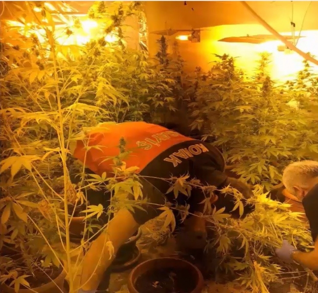 İzmir'de uyuşturucu operasyonu: 2 gözaltı