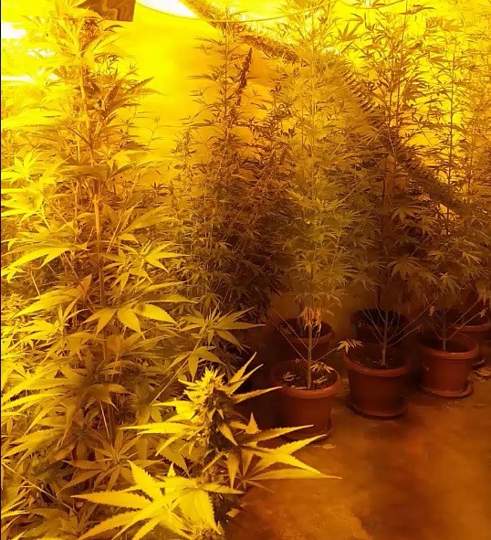 İzmir'de uyuşturucu operasyonu: 2 gözaltı