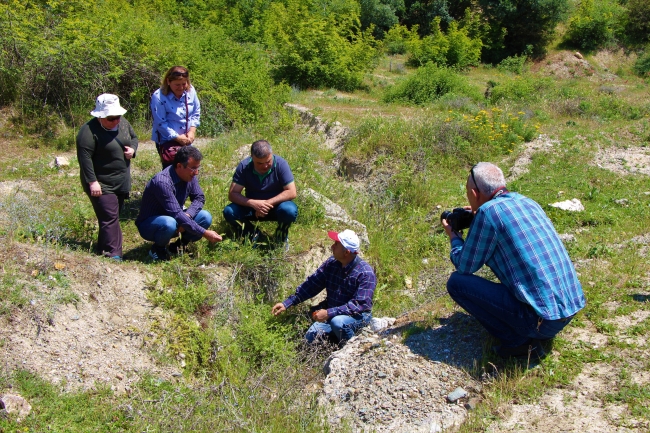 Kayıp bitki 130 yıl sonra Amasya'da bulundu