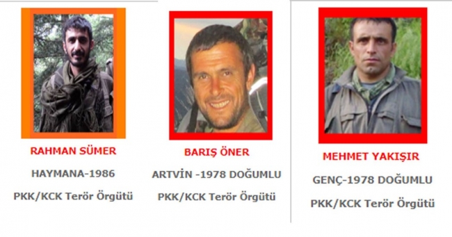 Arananlar listesindeki 3 terörist için Doğu Karadeniz’de operasyon