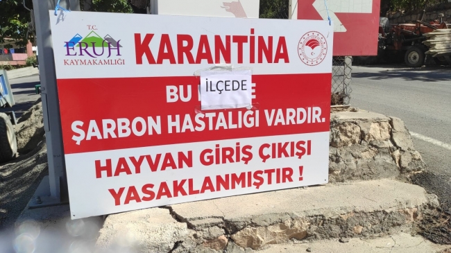 Şarbon tespit edilen Eruh karantinaya alındı
