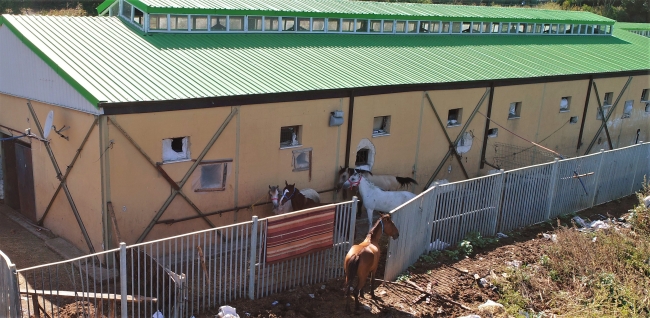 Büyükada'daki "Fayton Park" havadan görüntülendi