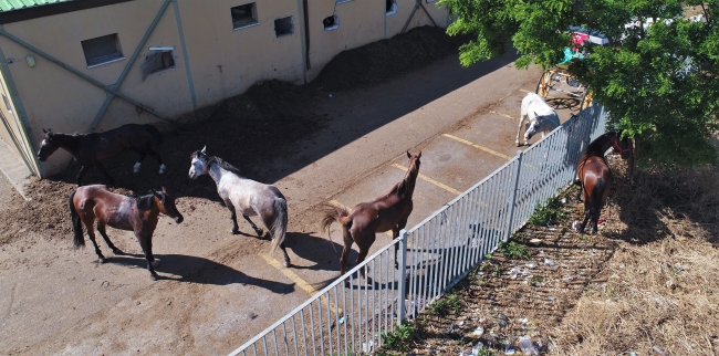 Büyükada'daki "Fayton Park" havadan görüntülendi