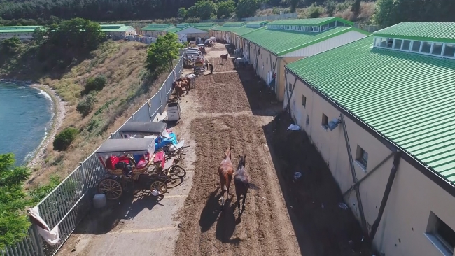 Büyükada'daki "Fayton Park" havadan görüntülendi