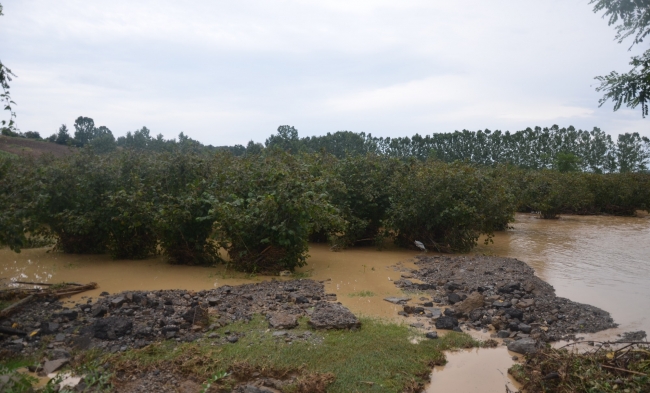 Samsun'da kuvvetli sağanak: 2 okulda eğitime ara verildi