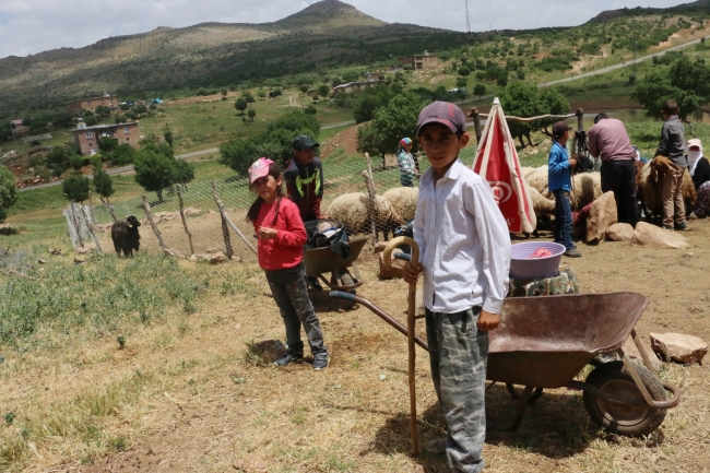 Siirt Pervari yaylaları terörden temizlendi huzur geldi