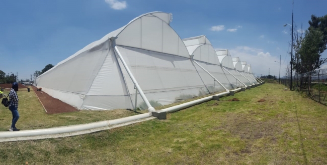 TİKA Meksika’da sera kurdu