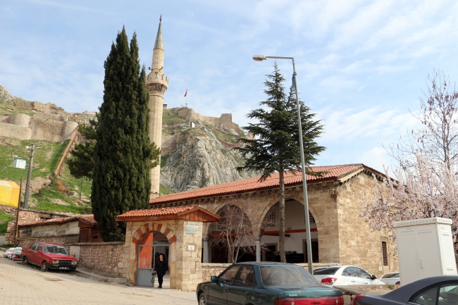 Tokat'ta 339 yıllık taştan oyma kuş evi