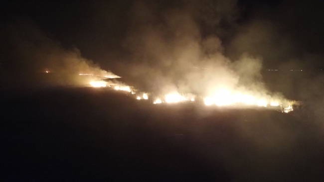 Afyonkarahisar'da sazlık yangını