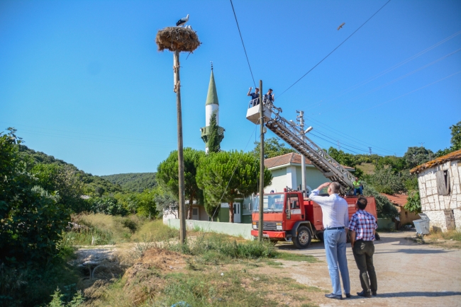 Leylek yavrularına itfaiye merdiveniyle özel besleme