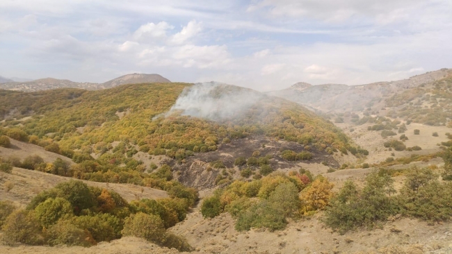 Bingöl'de 4 ayrı noktada çıkan orman yangınlarının 3'ü söndürüldü