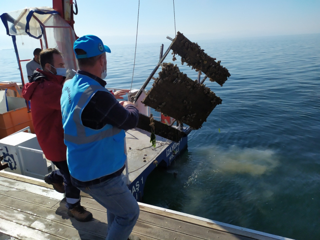 Denizden piknik masası çıktı