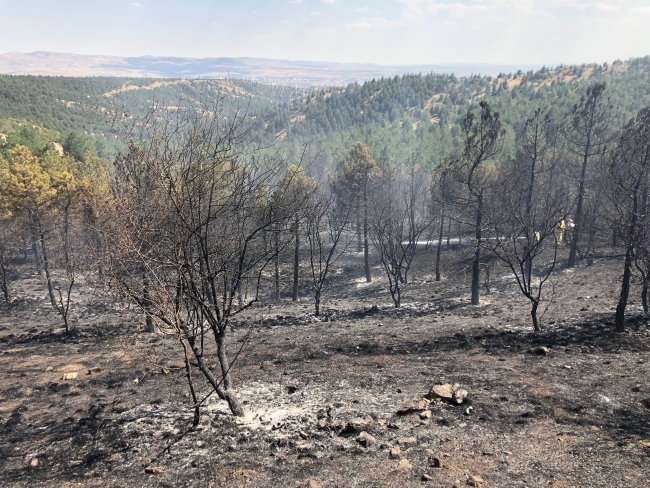 Ankara Ahlatlıbel'de ormanlık alanda yangın
