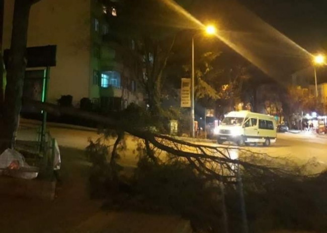 Bursa'da şiddetli lodos: Çatılar uçtu, ağaçlar devrildi