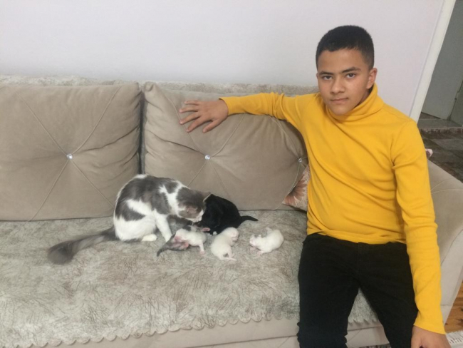 Anne kedi, yavru köpeğe de annelik yapıyor