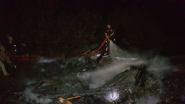 Yangını söndüren vatandaşlara arı saldırdı