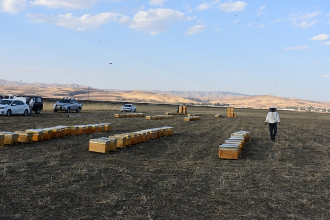 Genç çiftçilerin yüzü devlet desteğiyle gülüyor