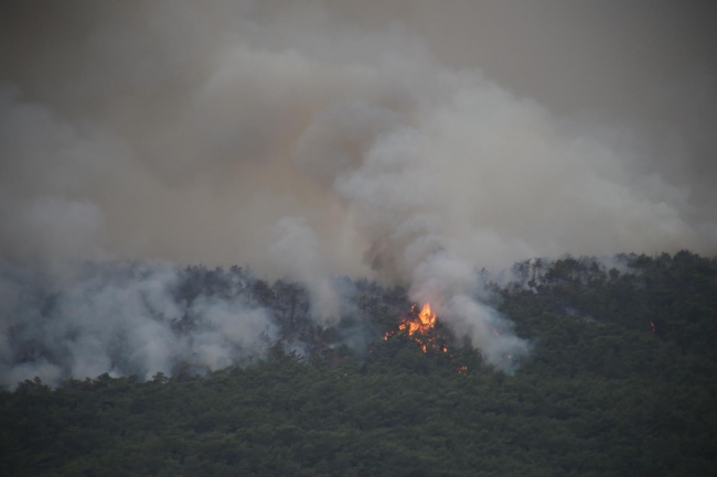Hatay'daki orman yangını kontrol altına alındı