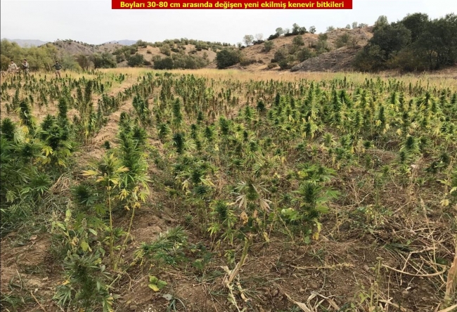 Teröristlerin tuzakladığı 5 el yapımı patlayıcı imha edildi