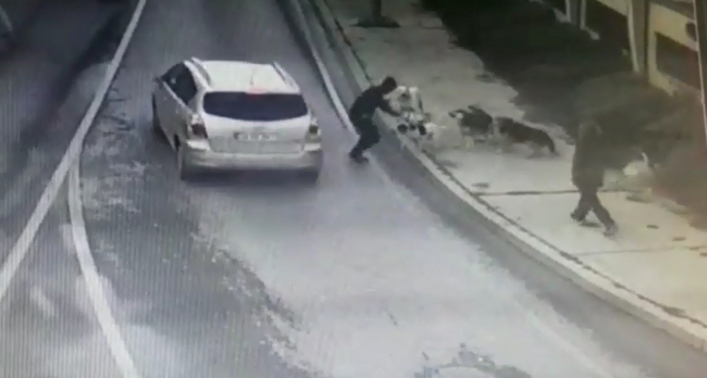 Yolda yürüyen adama sokak köpekleri saldırdı