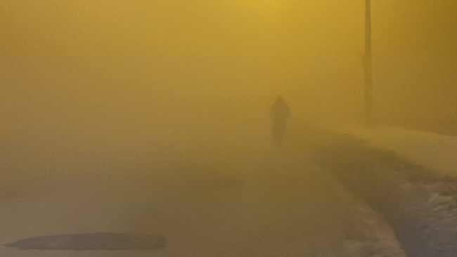 Düzce'de yoğun sis: Görüş mesafesi 10 metreye kadar düştü