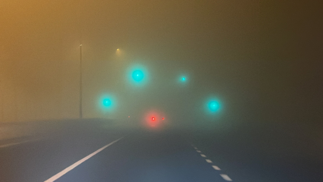 Düzce'de yoğun sis: Görüş mesafesi 10 metreye kadar düştü