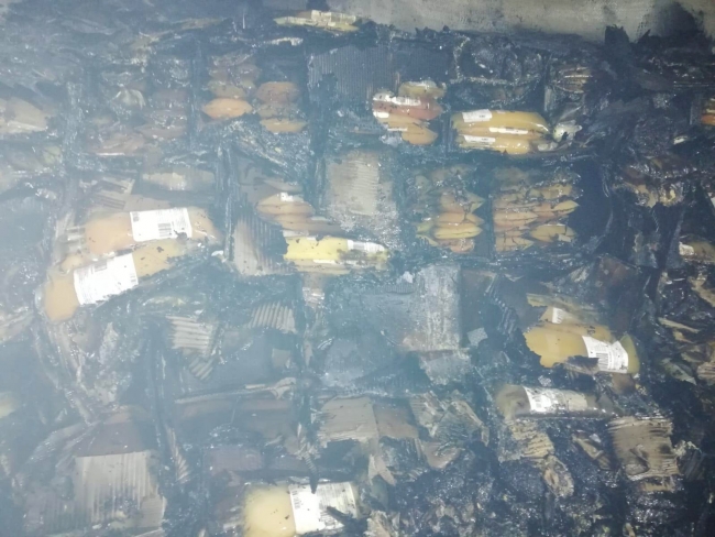 İran’dan Almanya'ya giden kan yüklü TIR yandı