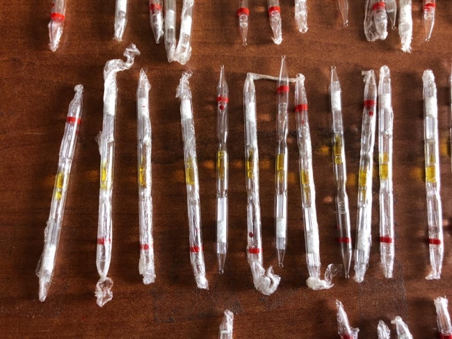 Erzurum'da 500 tüpe yakın kobra yılanı zehri ele geçirildi