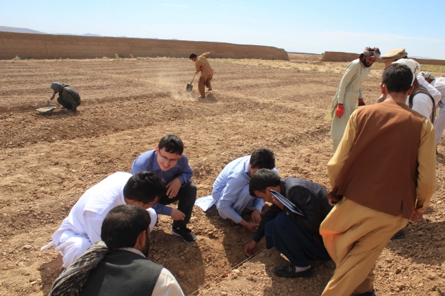 TİKA'dan Afganistanlı çiftçilere destek