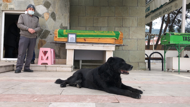 Ölen sahibinin tabutunun başından bir an olsun ayrılmadı