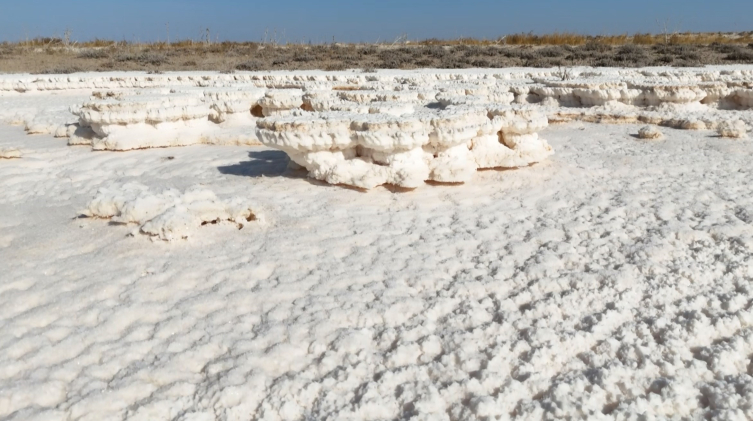Tuz Gölü'nde kırmızı alarm: 90 yılda yüzde 85 küçüldü