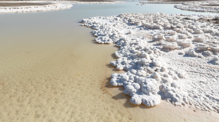 Tuz Gölü'nde kırmızı alarm: 90 yılda yüzde 85 küçüldü