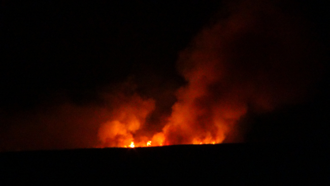 Koruma altındaki Göksu Deltasında yangın çıktı