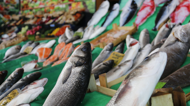 Denizlerde av yasağı başlıyor