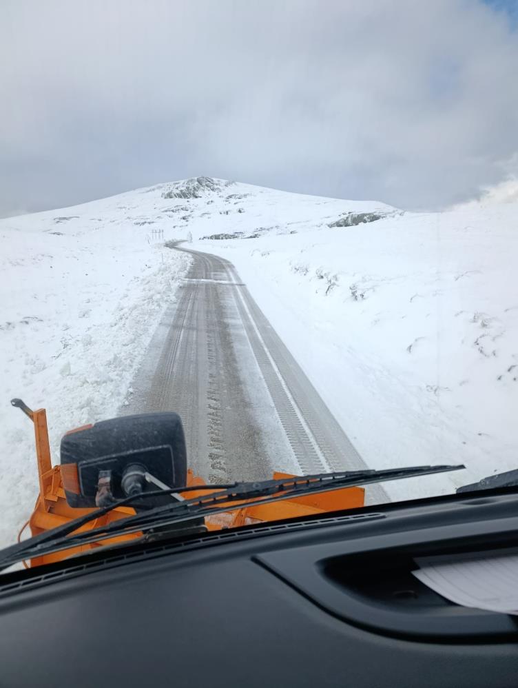 Turuncu kaplanlar kar mesaisinde