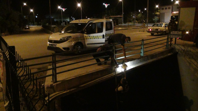 Derede gördükleri siyah poşet mahalleliyi sokağa döktü