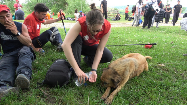 Sokak köpeği 95 kilometrelik 'İstiklal Yürüyüşü'ne dahil oldu