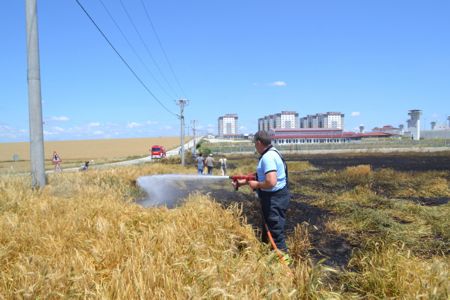 Sigara izmariti tarlayı küle çevirdi