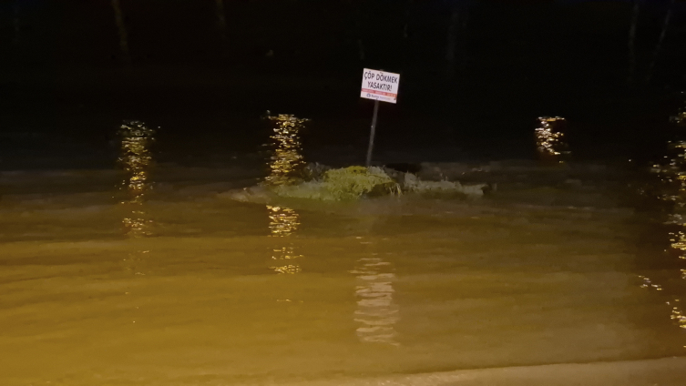 Bartın'da yağış ırmağı taşırdı