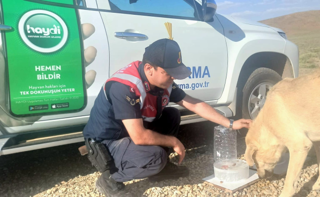 Jandarma geri dönüşüm malzemelerinden su kapları yapıp sokak hayvanlarına bıraktı