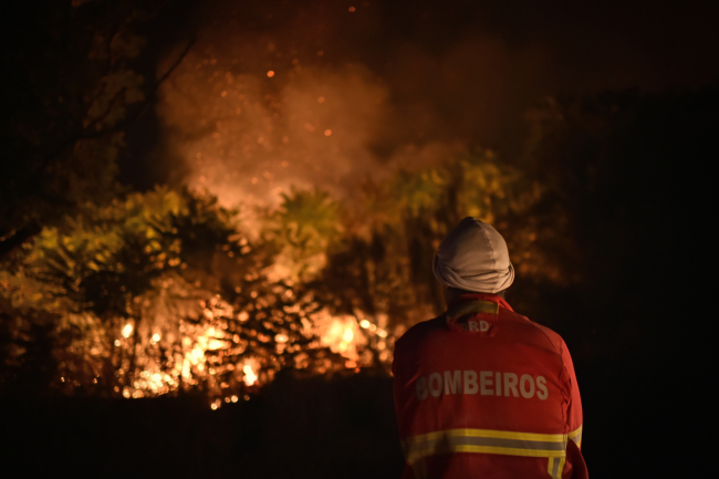 Portekiz'deki orman yangınında 15 bin hektar alan kül oldu