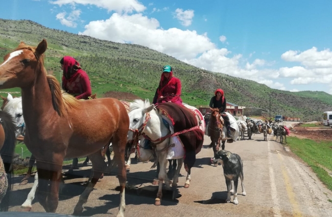 Göçerlerin zorlu yayla yolculuğu başladı