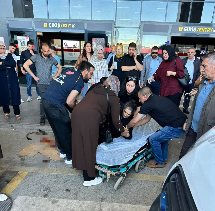 Elazığ'da köpeğin saldırdığı kadın yaralandı
