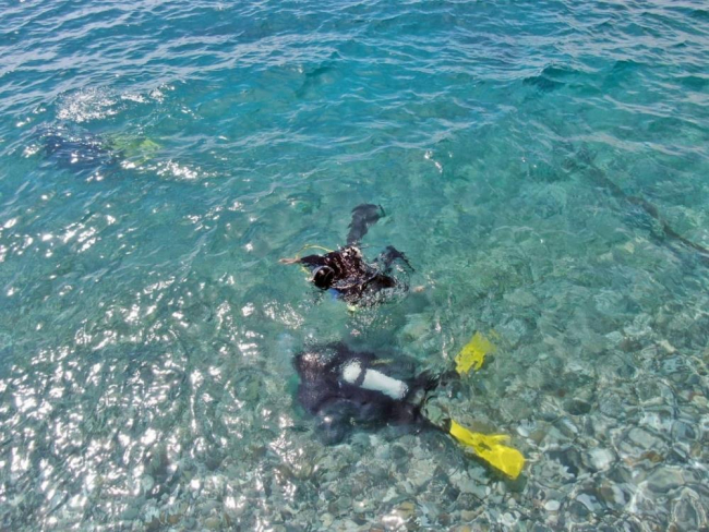Antalya Körfezi’nde her taşın altından ‘Lagos’ balığının yavrusu çıkıyor