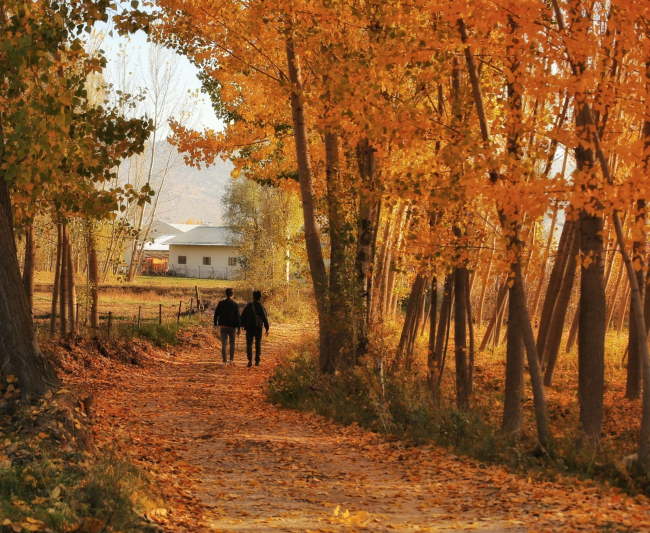 Kahramanmaraş’ta sonbahar renkleri