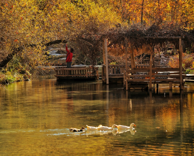 Kahramanmaraş’ta sonbahar renkleri