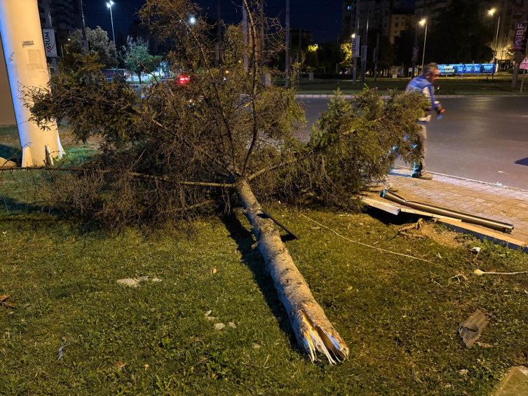 Fotoğraf: İHA