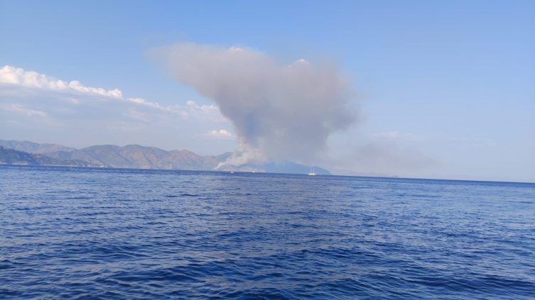 Muğla'da orman yangını