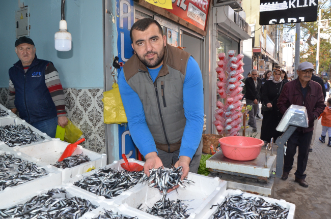 Tezgahlarda hamsi bolluğu: Fiyat 30 liraya düştü